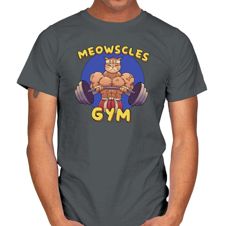 Meowscles Gym - Mens T-Shirts RIPT Apparel Small / Charcoal