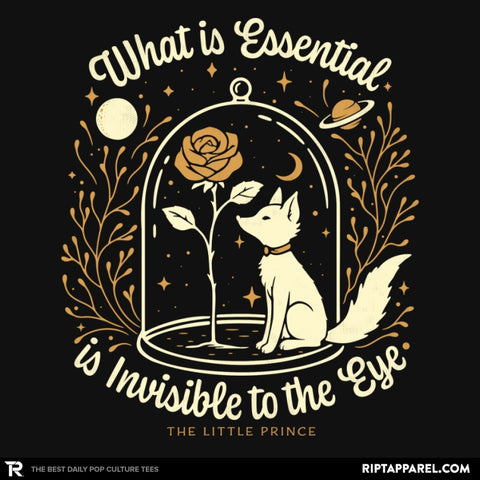 The Rose and the Fox - Collection Image - RIPT Apparel