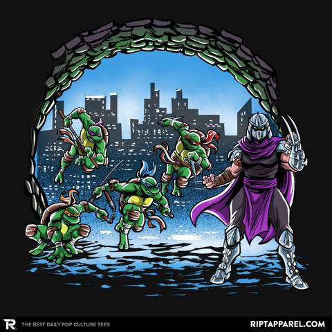 Turtles Cover - Collection Image - RIPT Apparel