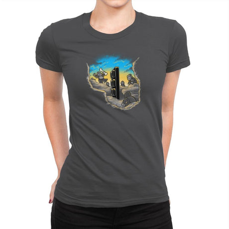 2001 Bricks Exclusive - Womens Premium T-Shirts RIPT Apparel Small / Heavy Metal