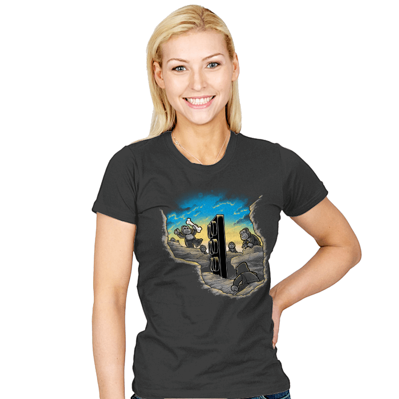 2001 Bricks - Womens T-Shirts RIPT Apparel