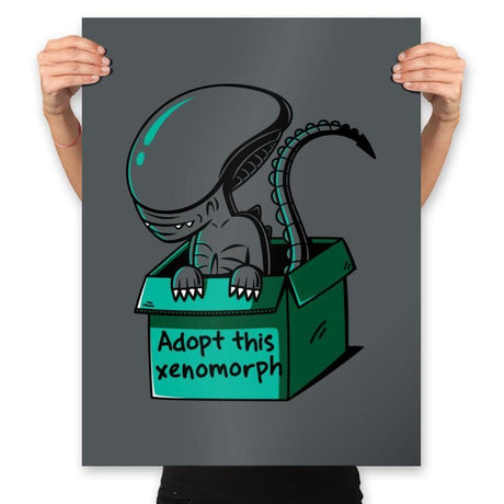 Adopt This Morph - Prints Posters RIPT Apparel 18x24 / Charcoal