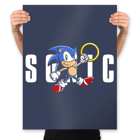 Air Hedgehog - Prints Posters RIPT Apparel 18x24 / 202945