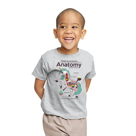 Anatomy of a Unicorn - Youth T-Shirts RIPT Apparel X-small / Sport grey