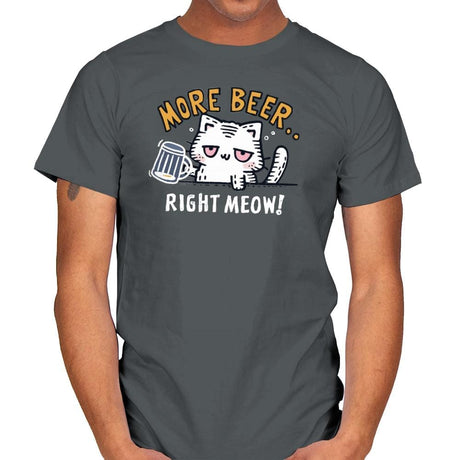 Beer Right Meow - Mens T-Shirts RIPT Apparel Small / Charcoal