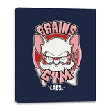 Brain's Gym - Canvas Wraps Canvas Wraps RIPT Apparel 16x20 / Navy