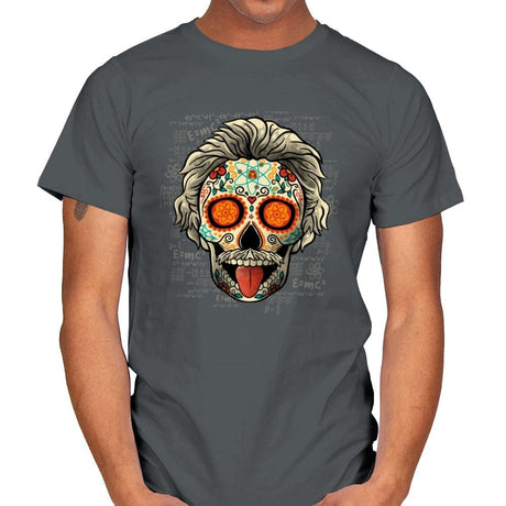 Calavera Einstein - Mens T-Shirts RIPT Apparel Small / Charcoal