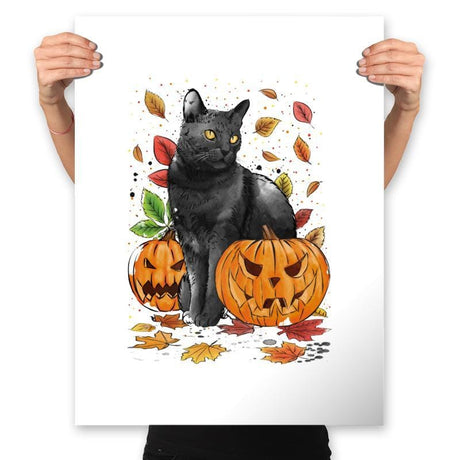 Cat Leaves and Pumpkins - Prints Posters RIPT Apparel 18x24 / White