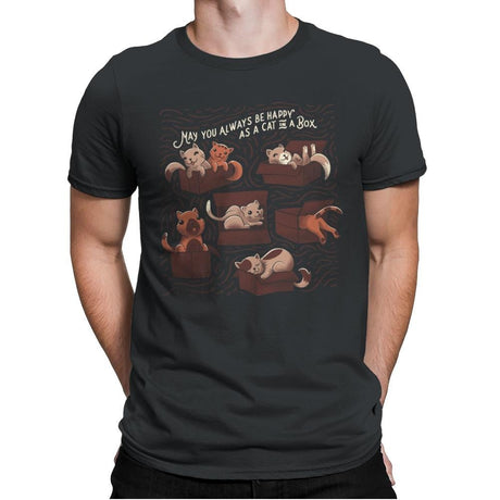 Cats in a Box - Mens Premium T-Shirts RIPT Apparel Small / Heavy Metal