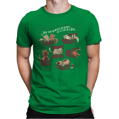 Cats in a Box - Mens Premium T-Shirts RIPT Apparel Small / Kelly