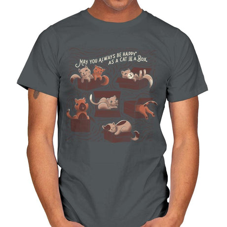 Cats in a Box - Mens T-Shirts RIPT Apparel Small / Charcoal