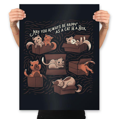 Cats in a Box - Prints Posters RIPT Apparel 18x24 / Black