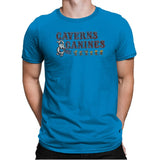 Caverns and Canines - Mens Premium T-Shirts RIPT Apparel Small / Turqouise