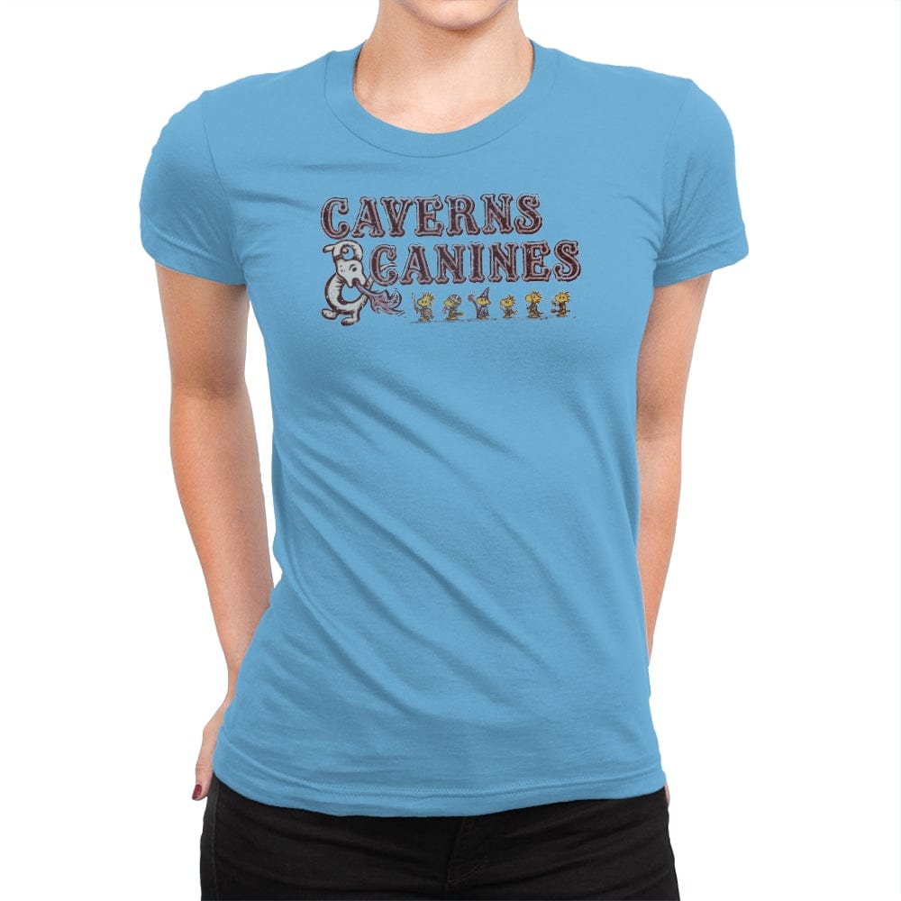 Caverns and Canines - Womens Premium T-Shirts RIPT Apparel Small / Turquoise