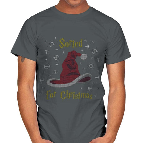 Christmas Sorting Hat - Ugly Holiday - Mens T-Shirts RIPT Apparel Small / Charcoal