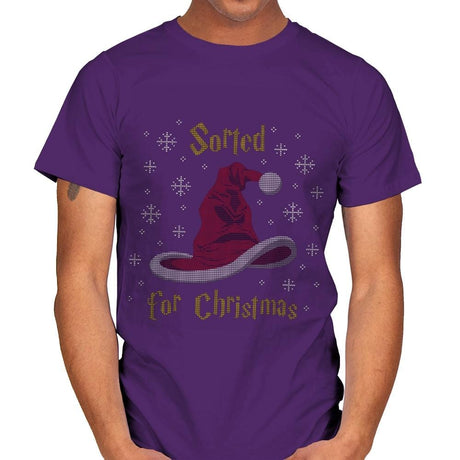 Christmas Sorting Hat - Ugly Holiday - Mens T-Shirts RIPT Apparel Small / Purple