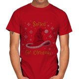 Christmas Sorting Hat - Ugly Holiday - Mens T-Shirts RIPT Apparel Small / Red
