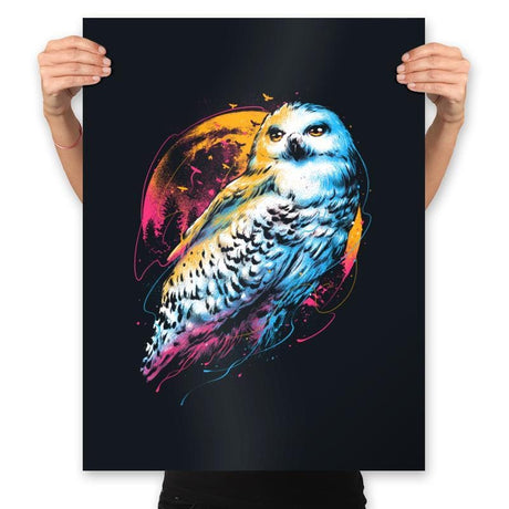 Colorful Owl - Prints Posters RIPT Apparel 18x24 / Black