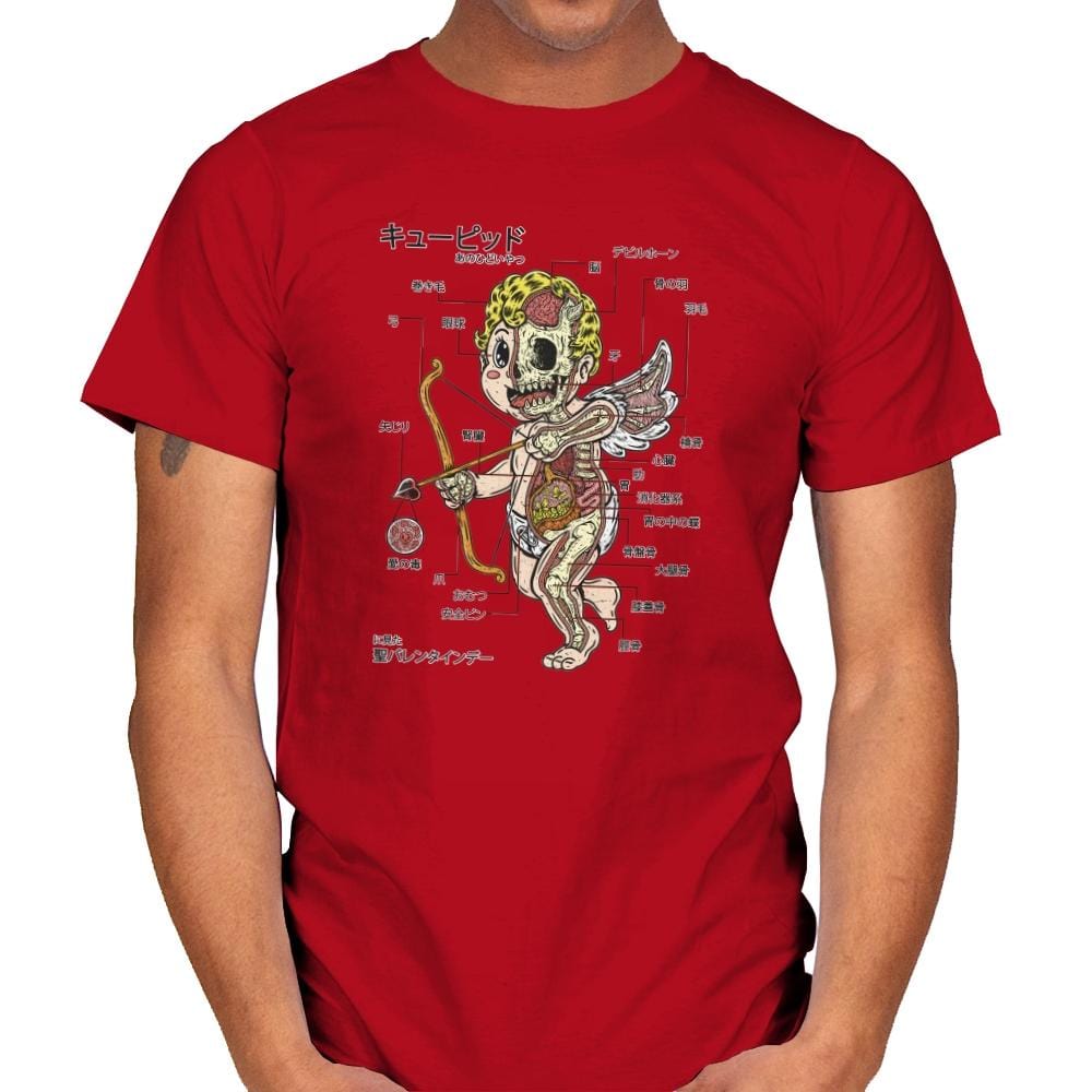 Cupid Anatomy - Mens T-Shirts RIPT Apparel Small / Red