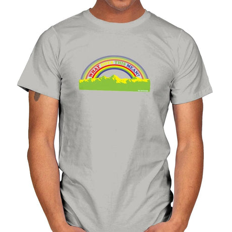 Double Rainbow Exclusive - Mens T-Shirts RIPT Apparel Small / Ice Grey