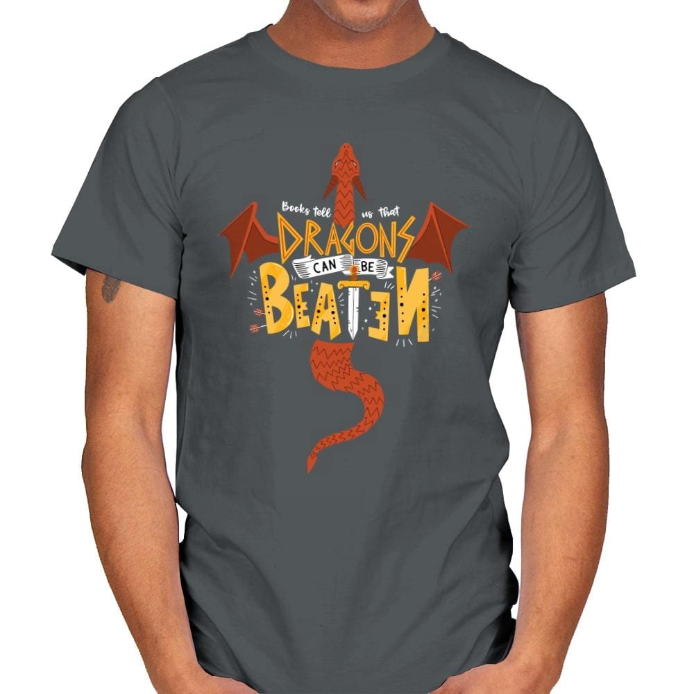 Dragons Can Be Beaten - Mens T-Shirts RIPT Apparel Small / Charcoal