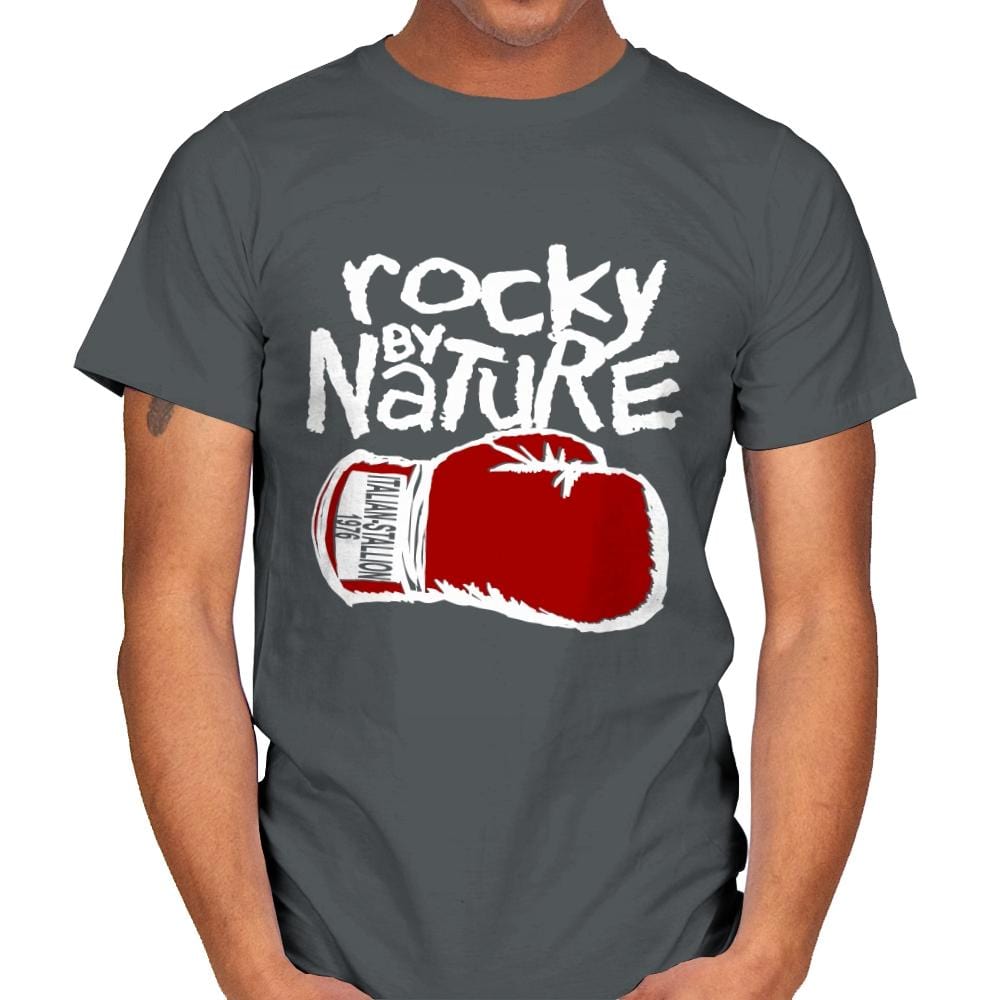 Fighter By Nature - Mens T-Shirts RIPT Apparel Small / Charcoal
