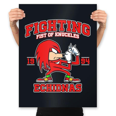 Fighting Echidnas - Prints Posters RIPT Apparel 18x24 / Black