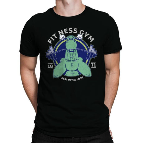 Fit Ness Gym - Mens Premium T-Shirts RIPT Apparel Small / Black