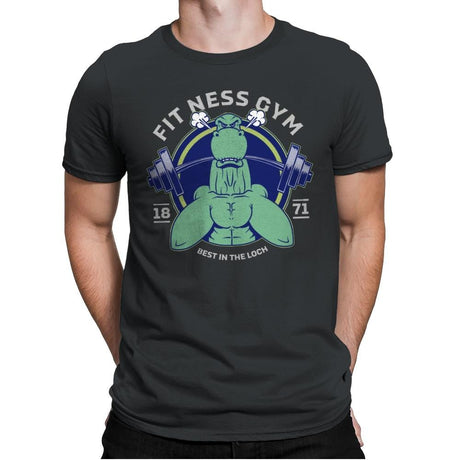 Fit Ness Gym - Mens Premium T-Shirts RIPT Apparel Small / Heavy Metal