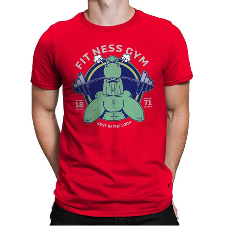 Fit Ness Gym - Mens Premium T-Shirts RIPT Apparel Small / Red