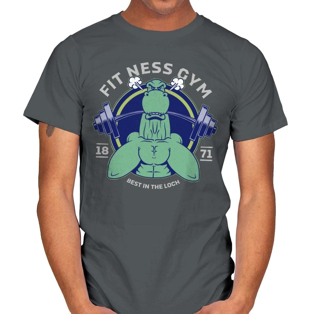 Fit Ness Gym - Mens T-Shirts RIPT Apparel Small / Charcoal