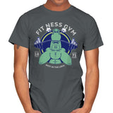 Fit Ness Gym - Mens T-Shirts RIPT Apparel Small / Charcoal