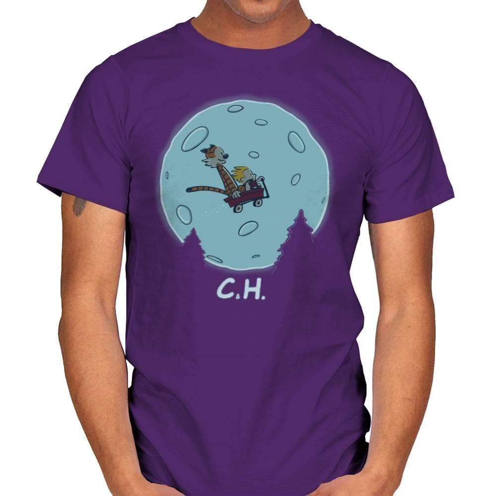 Flying Wagon - Raffitees - Mens T-Shirts RIPT Apparel Small / Purple