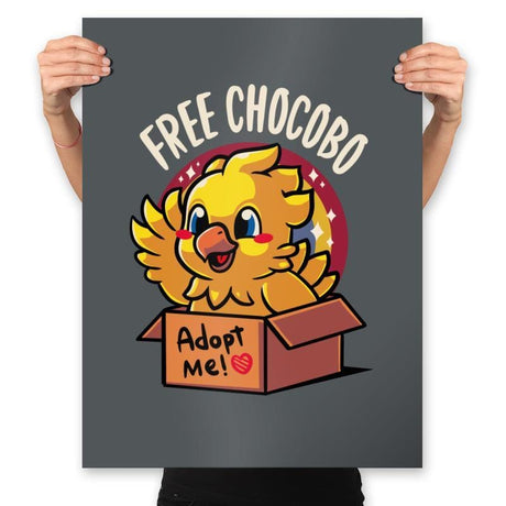 Free Chocobo - Prints Posters RIPT Apparel 18x24 / Charcoal
