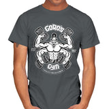 Goro's Gym 1992 - Mens T-Shirts RIPT Apparel Small / Charcoal