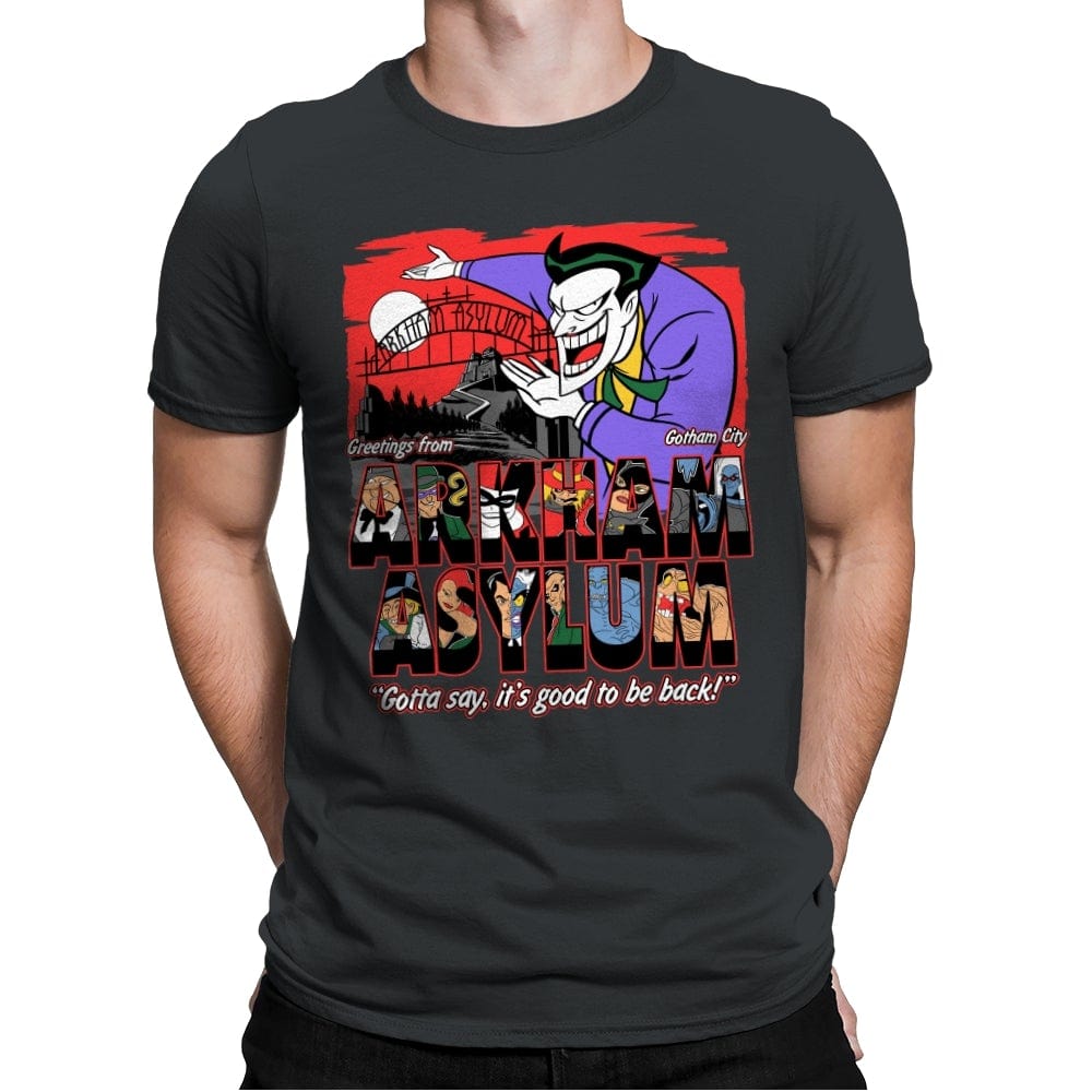 Greetings from the Asylum - Best Seller - Mens Premium T-Shirts RIPT Apparel Small / Heavy Metal