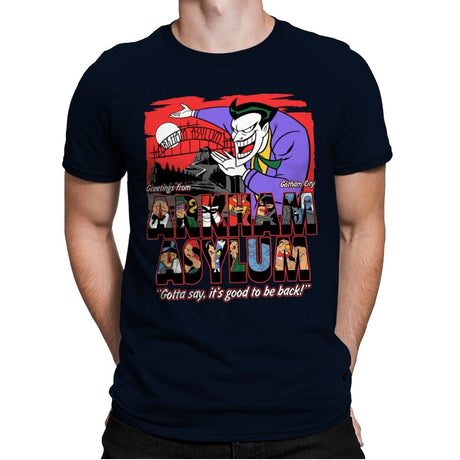 Greetings from the Asylum - Best Seller - Mens Premium T-Shirts RIPT Apparel Small / Midnight Navy
