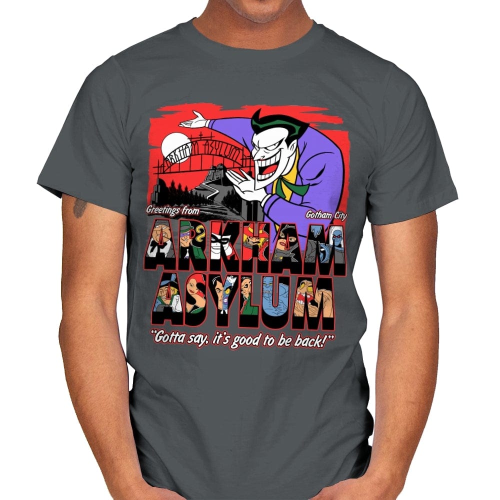 Greetings from the Asylum - Best Seller - Mens T-Shirts RIPT Apparel Small / Charcoal