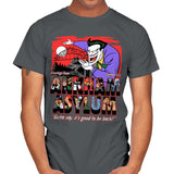 Greetings from the Asylum - Best Seller - Mens T-Shirts RIPT Apparel Small / Charcoal