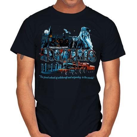Greetings from The School of Wizardry - Mens T-Shirts RIPT Apparel Small / Black