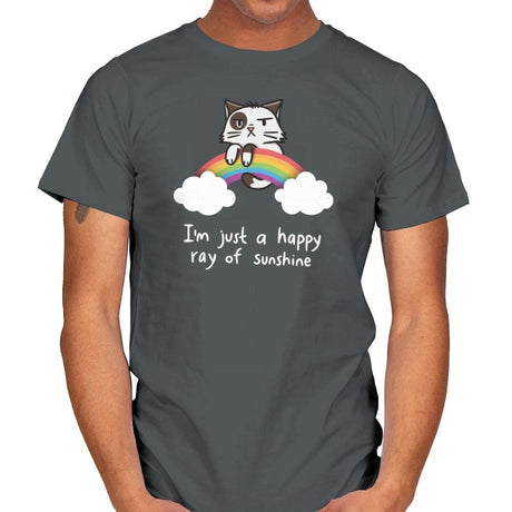 Happy Ray of Sunshine - Mens T-Shirts RIPT Apparel Small / Charcoal