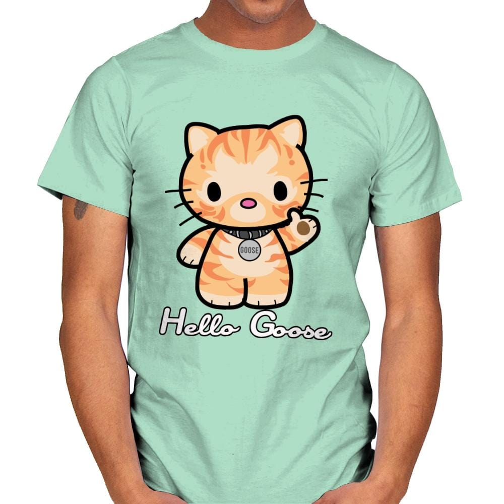 Hello Goose - Mens T-Shirts RIPT Apparel Small / Mint Green