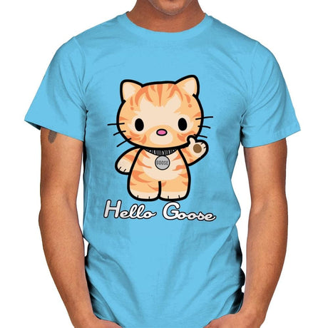 Hello Goose - Mens T-Shirts RIPT Apparel Small / Sky