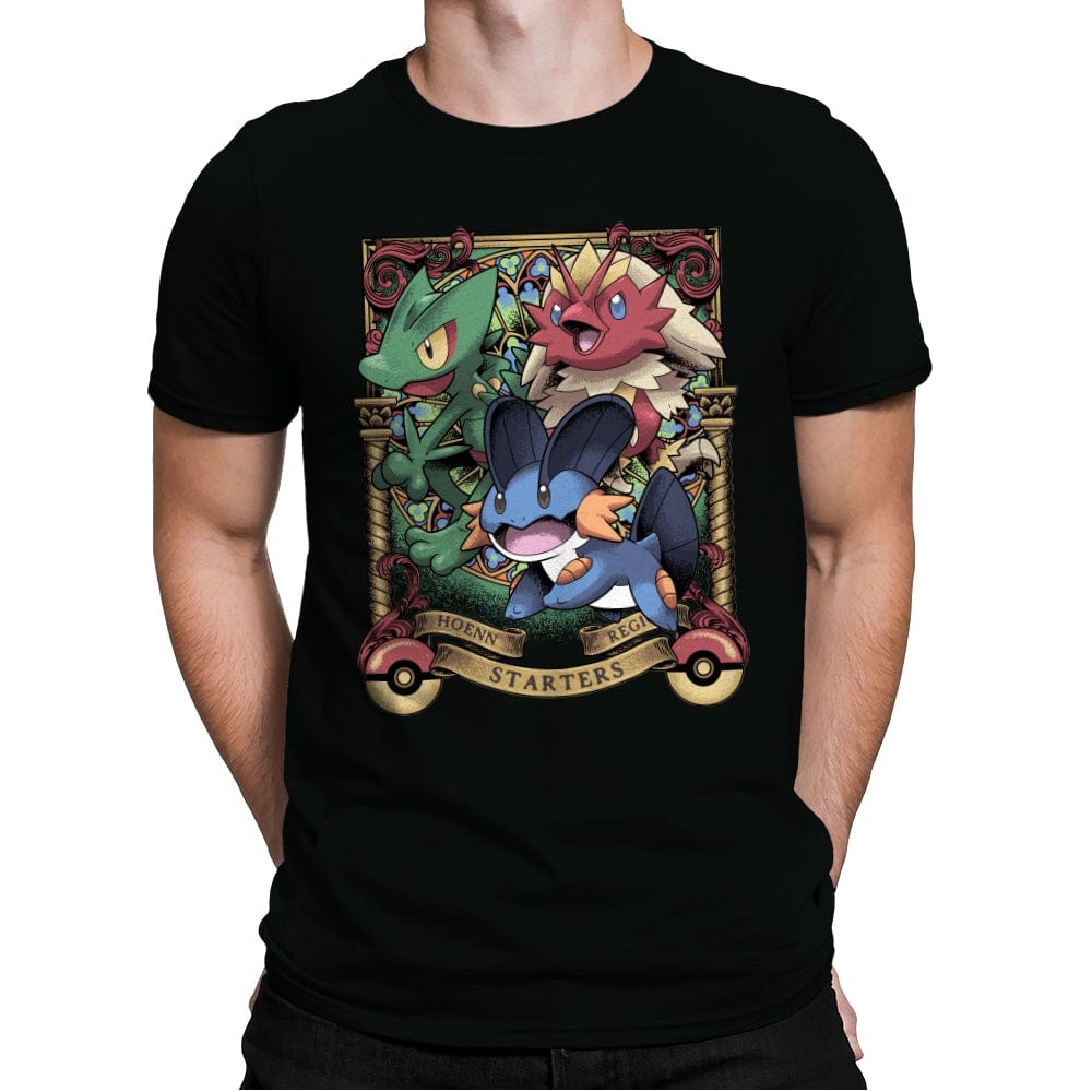Hoenn Starters - Mens Premium T-Shirts RIPT Apparel Small / Black