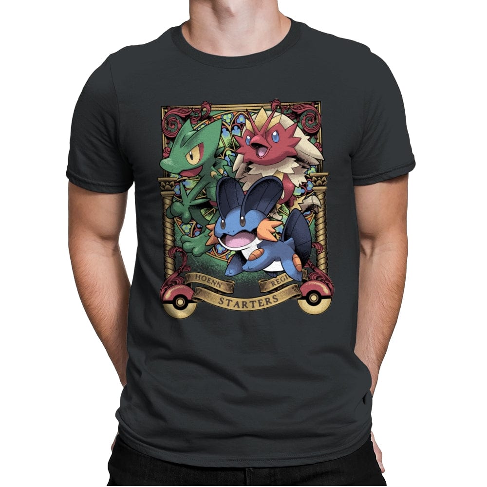 Hoenn Starters - Mens Premium T-Shirts RIPT Apparel Small / Heavy Metal