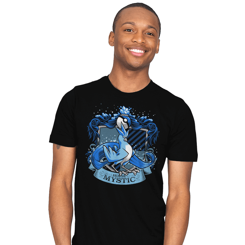 House Mystic - Articlaw - Mens T-Shirts RIPT Apparel