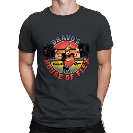 House of Flex! - Mens Premium T-Shirts RIPT Apparel Small / Heavy Metal