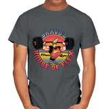 House of Flex! - Mens T-Shirts RIPT Apparel Small / Charcoal