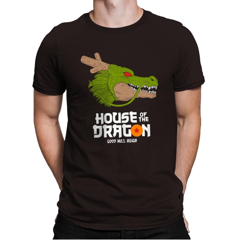 House of the dragon - Mens Premium T-Shirts RIPT Apparel Small / Dark Chocolate
