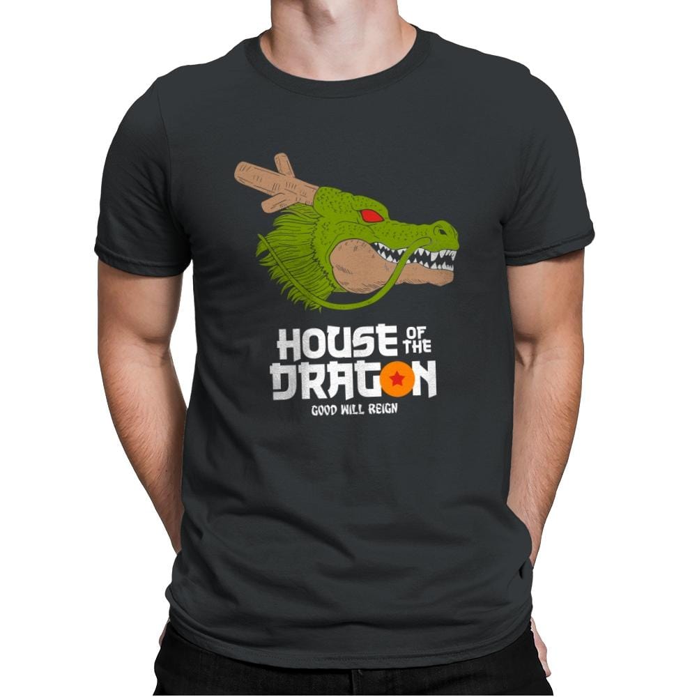 House of the dragon - Mens Premium T-Shirts RIPT Apparel Small / Heavy Metal